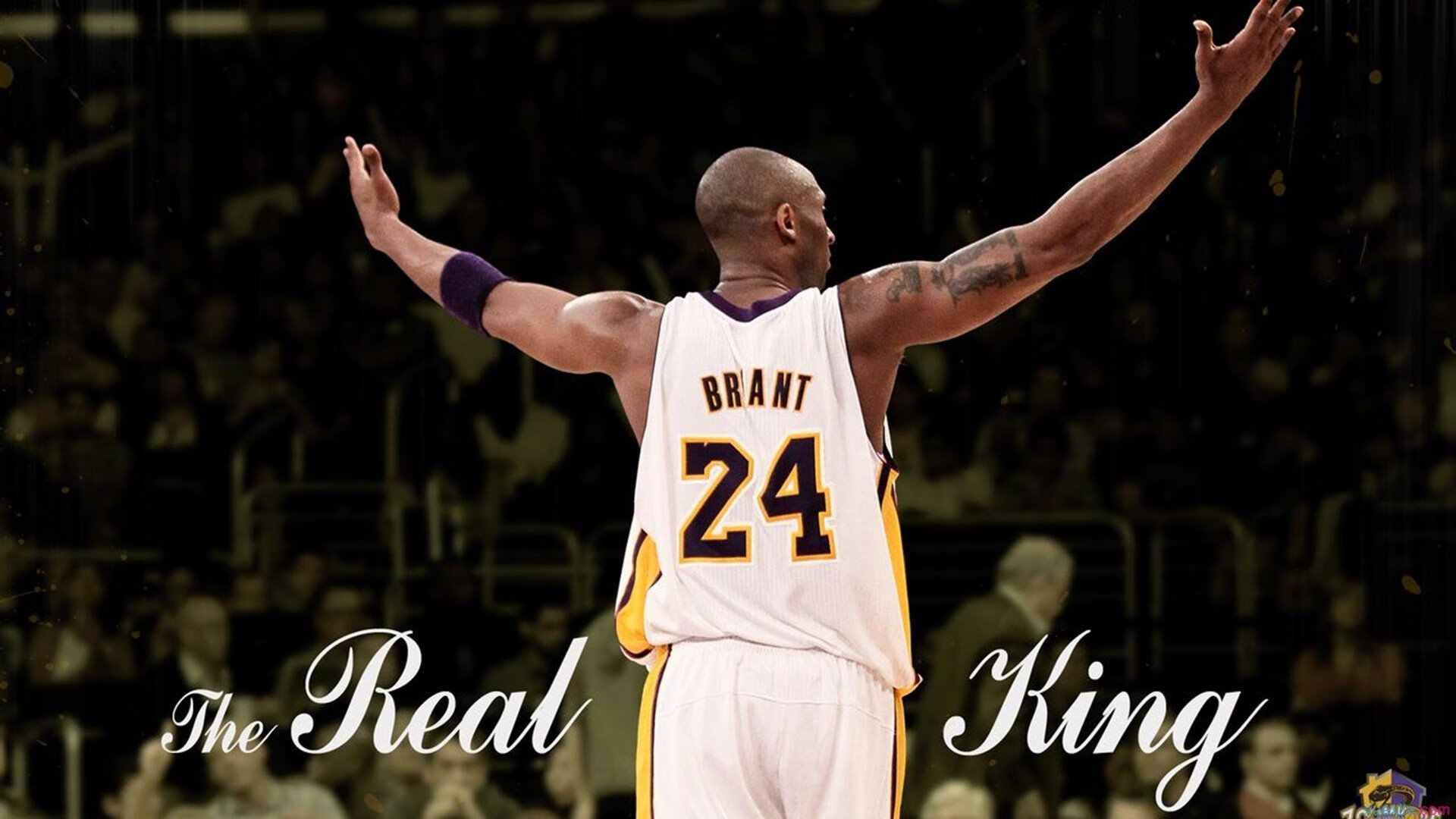 裁判教育项目引入国际专家提升本地执法水平，国际裁判所